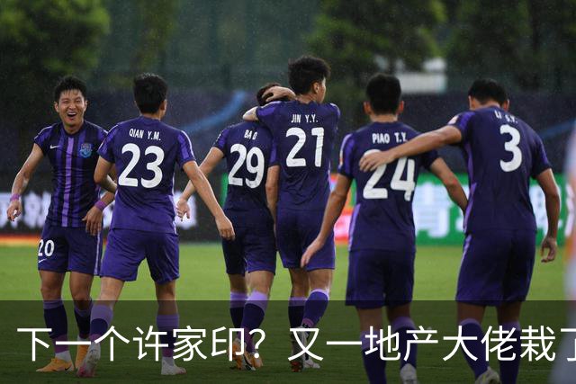 下一个许家印？又一地产大佬栽了，涉案超200亿 已被正式立案调查