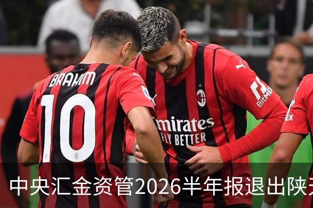 中央汇金资管2026半年报退出陕天然气与深圳燃气前十大股东名单！