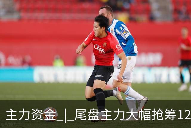 主力资金 | 尾盘主力大幅抢筹12股