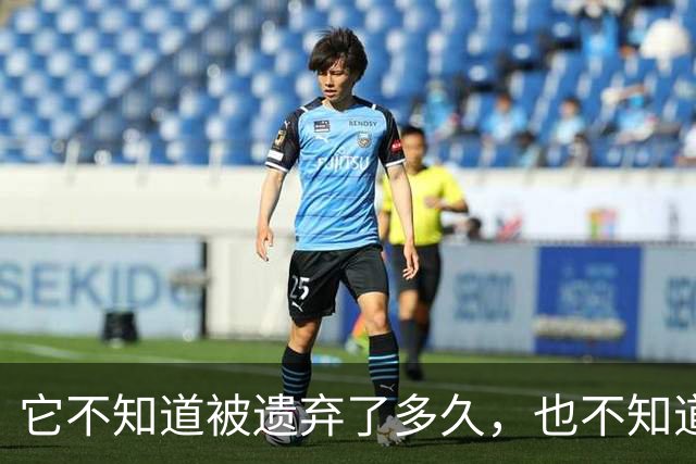 它不知道被遗弃了多久，也不知道物业要清理它，还围着人类在讨好呢