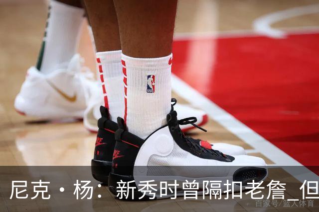 尼克·杨：新秀时曾隔扣老詹 但十佳球却刻意排在第十&本应是第一