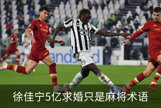 徐佳宁5亿求婚只是麻将术语