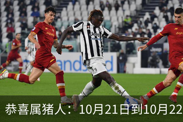 恭喜属猪人：10月21日到10月22日，你盼了很久的囍事终于来了