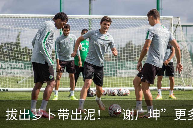 拔出萝卜带出泥！“谢广坤”更多猛料被曝，知法犯法仅冰山一角