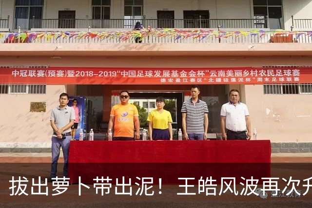 拔出萝卜带出泥！王皓风波再次升级，报警竟意外将半个饭圈拉下水