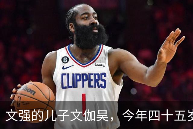 文强的儿子文伽昊，今年四十五岁了，定居在重庆，早已撕掉了