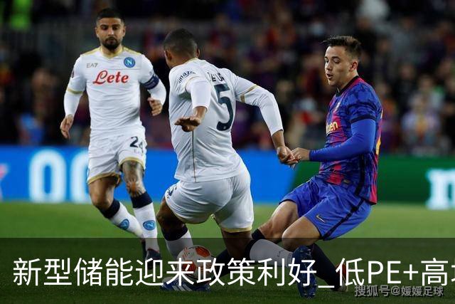 新型储能迎来政策利好 低PE+高增长潜力股出炉
