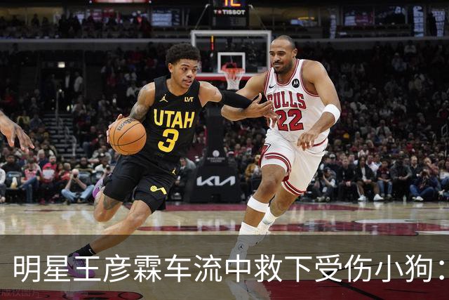 明星王彦霖车流中救下受伤小狗：医生说它生完就被扔了，王彦霖决定收养它，取名Lucky。