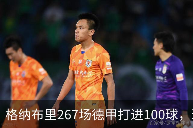 格纳布里267场德甲打进100球，现役德甲球员中第三位百球先生