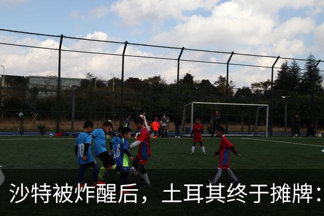 沙特被炸醒后，土耳其终于摊牌：出兵可以，但绝不打进攻战