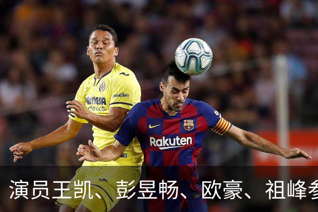 演员王凯、彭昱畅、欧豪、祖峰参加座谈会