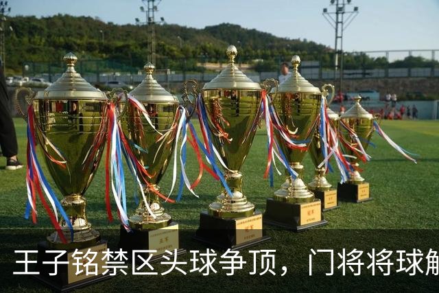 王子铭禁区头球争顶，门将将球解围出底线