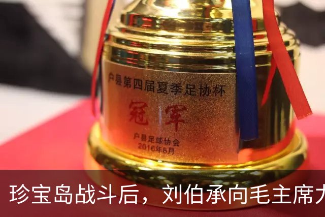 珍宝岛战斗后，刘伯承向毛主席力荐一人：他去兰州做司令我睡得着