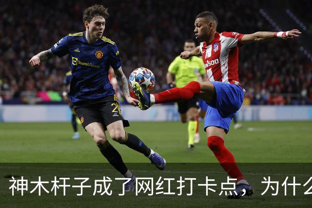 神木杆子成了网红打卡点，为什么要围起来？