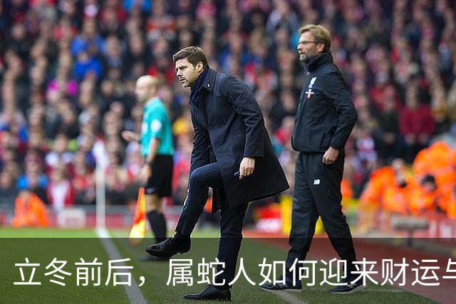 立冬前后，属蛇人如何迎来财运与人脉的双重惊喜？