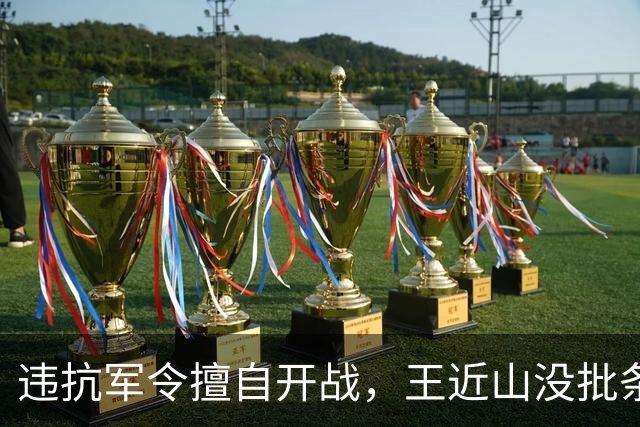 违抗军令擅自开战，王近山没批条子就开打，日军观战团全没；延安一听，毛主席淡淡一句：队伍里有个王疯子，我早听过这事