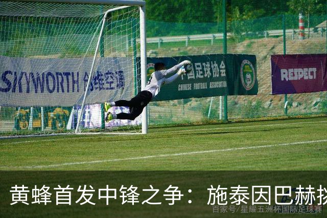 黄蜂首发中锋之争：施泰因巴赫挑战迪亚巴特和卡尔克布伦纳