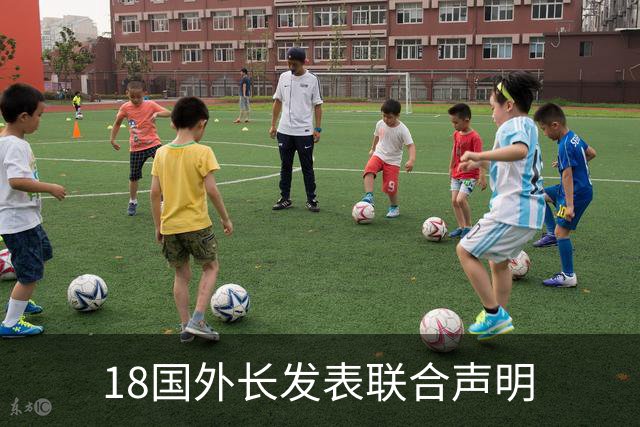 18国外长发表联合声明