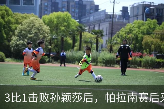 3比1击败孙颖莎后，帕拉南赛后采访，一句话点明孙颖莎乒乓地位